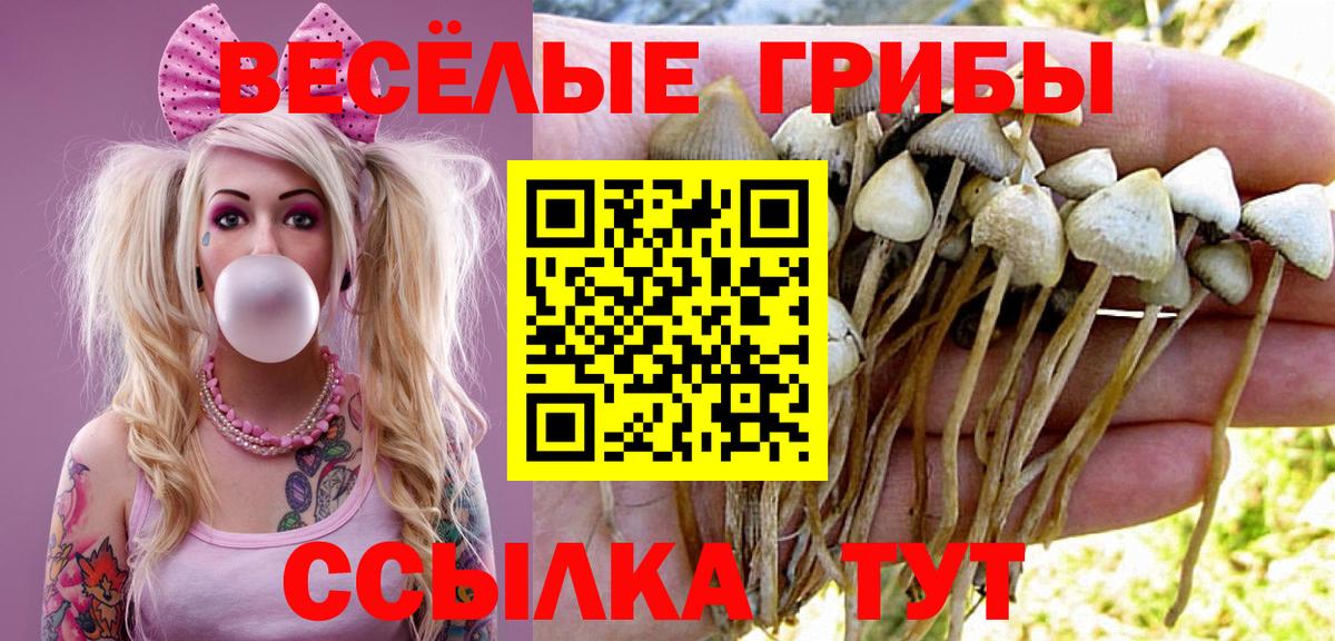 Якутск  Галлюциногенные грибы GOLDEN TEACHER  Вход с VPN  что такое наркотик  Галлюциногенные грибы MAGIC MUSHROOMS 