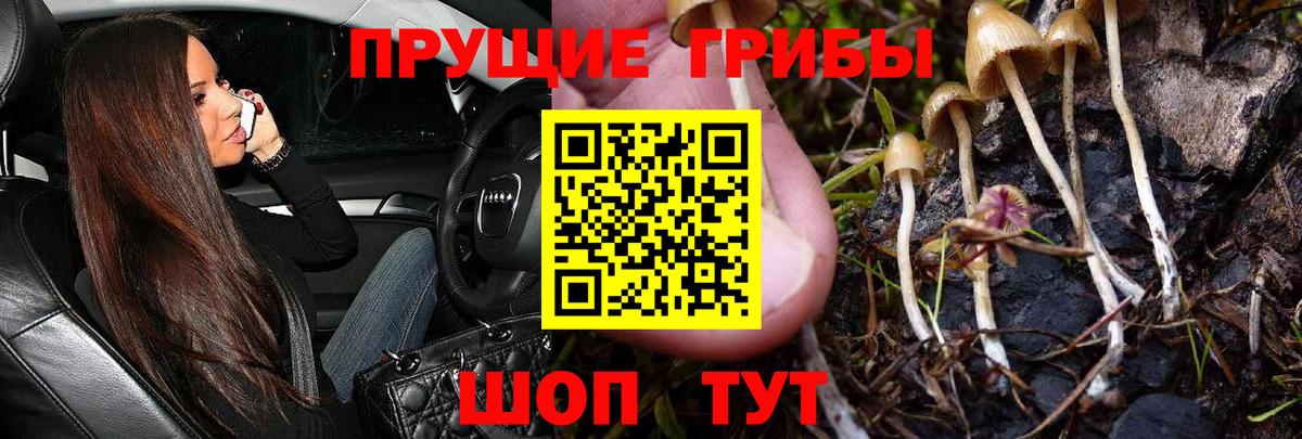 Псилоцибиновые грибы GOLDEN TEACHER Якутск